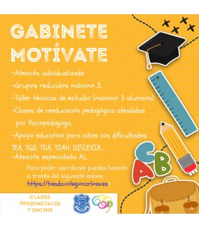 ATENCION INDIVIDUALIZADA "GABINETE MOTIVATE" ( 1 SESION)